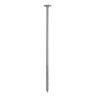 Coastal Screw - 280mm